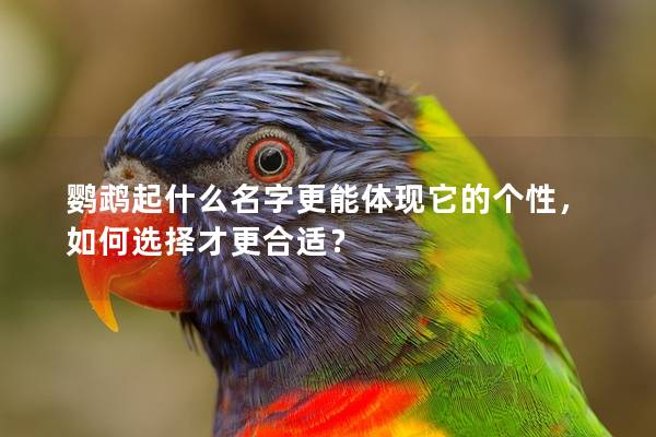 鹦鹉起什么名字更能体现它的个性，如何选择才更合适？