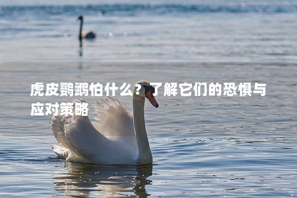 虎皮鹦鹉怕什么？了解它们的恐惧与应对策略