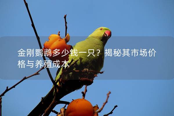 金刚鹦鹉多少钱一只？揭秘其市场价格与养殖成本