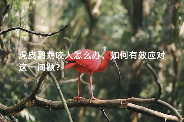 虎皮鹦鹉咬人怎么办，如何有效应对这一问题？