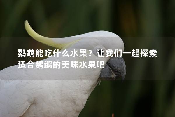 鹦鹉能吃什么水果？让我们一起探索适合鹦鹉的美味水果吧