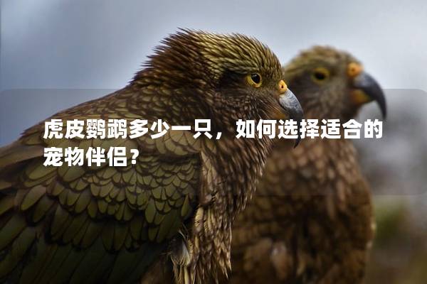 虎皮鹦鹉多少一只，如何选择适合的宠物伴侣？