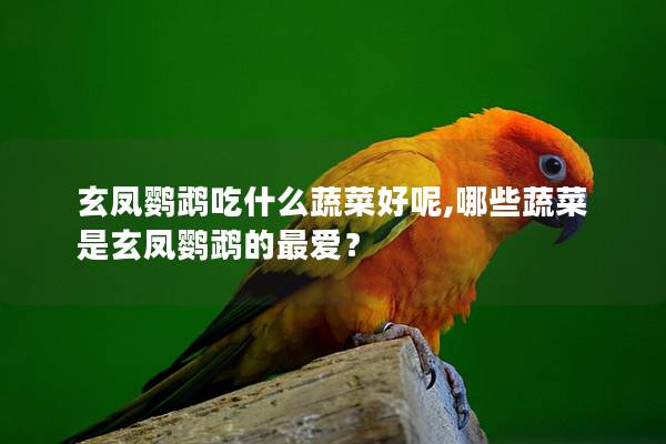 玄凤鹦鹉吃什么蔬菜好呢,哪些蔬菜是玄凤鹦鹉的最爱？