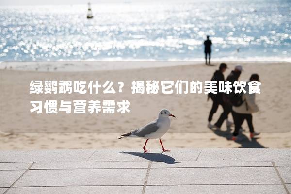 绿鹦鹉吃什么？揭秘它们的美味饮食习惯与营养需求