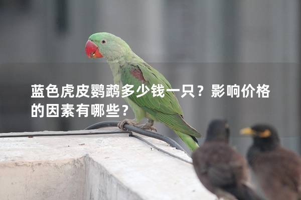 蓝色虎皮鹦鹉多少钱一只？影响价格的因素有哪些？