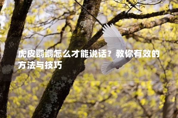 虎皮鹦鹉怎么才能说话？教你有效的方法与技巧