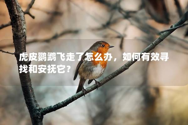 虎皮鹦鹉飞走了怎么办，如何有效寻找和安抚它？