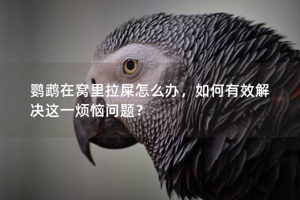 鹦鹉在窝里拉屎怎么办，如何有效解决这一烦恼问题？