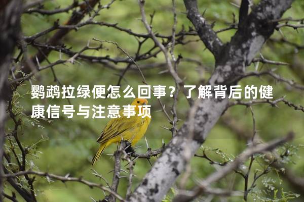 鹦鹉拉绿便怎么回事？了解背后的健康信号与注意事项
