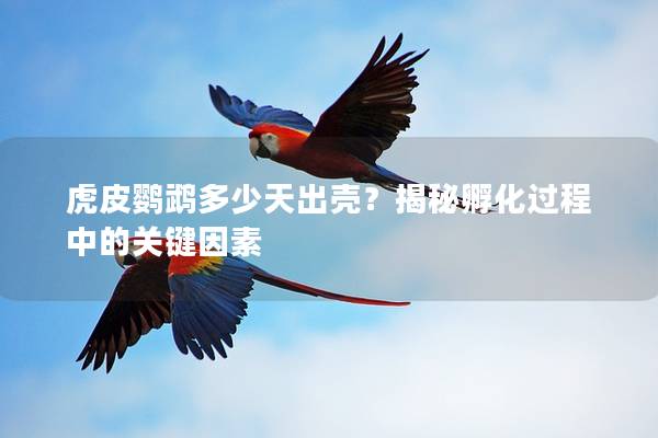 虎皮鹦鹉多少天出壳？揭秘孵化过程中的关键因素