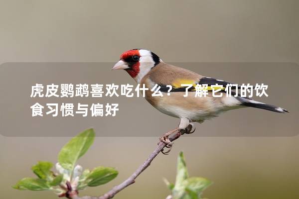 虎皮鹦鹉喜欢吃什么？了解它们的饮食习惯与偏好