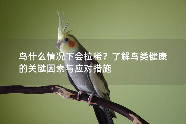 鸟什么情况下会拉稀？了解鸟类健康的关键因素与应对措施