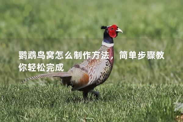 鹦鹉鸟窝怎么制作方法，简单步骤教你轻松完成