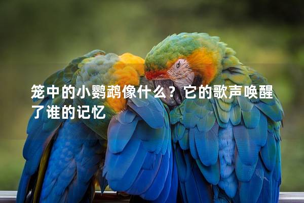 笼中的小鹦鹉像什么？它的歌声唤醒了谁的记忆