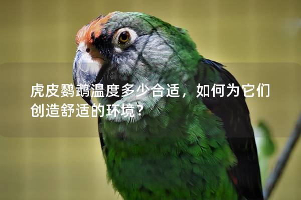 虎皮鹦鹉温度多少合适，如何为它们创造舒适的环境？