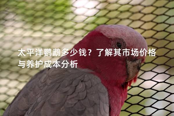 太平洋鹦鹉多少钱？了解其市场价格与养护成本分析