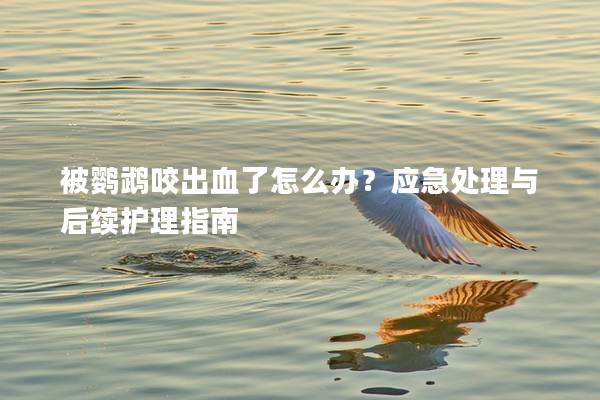 被鹦鹉咬出血了怎么办？应急处理与后续护理指南