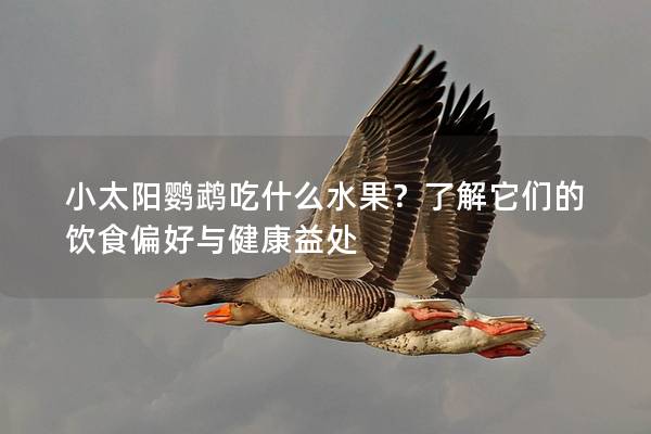 小太阳鹦鹉吃什么水果？了解它们的饮食偏好与健康益处