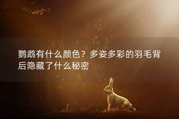 鹦鹉有什么颜色？多姿多彩的羽毛背后隐藏了什么秘密