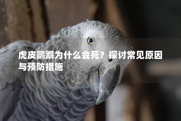 虎皮鹦鹉为什么会死？探讨常见原因与预防措施