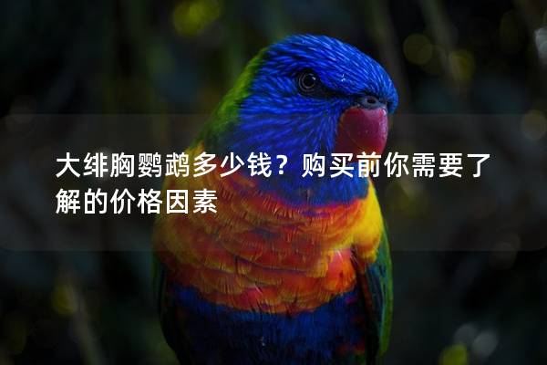 大绯胸鹦鹉多少钱？购买前你需要了解的价格因素