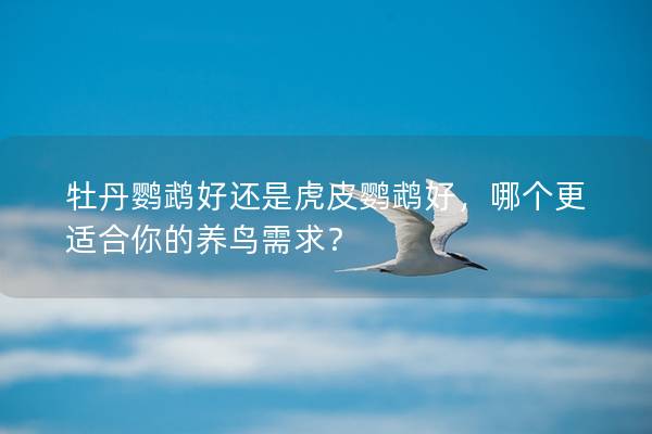 牡丹鹦鹉好还是虎皮鹦鹉好，哪个更适合你的养鸟需求？