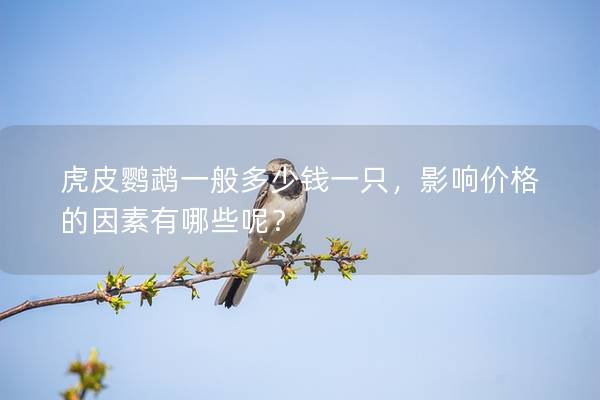 虎皮鹦鹉一般多少钱一只，影响价格的因素有哪些呢？
