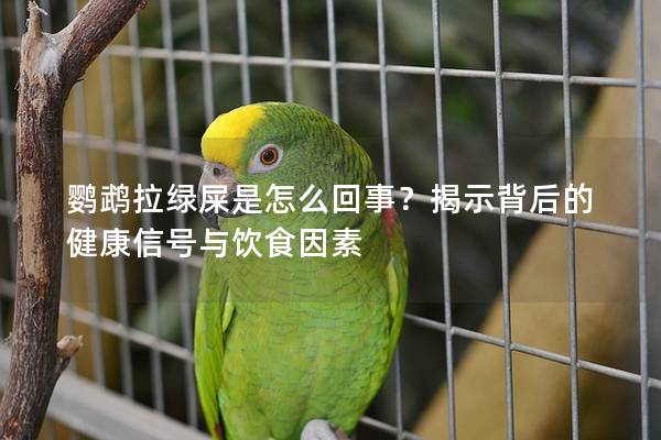 鹦鹉拉绿屎是怎么回事？揭示背后的健康信号与饮食因素