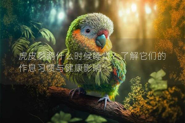 虎皮鹦鹉什么时候睡觉？了解它们的作息习惯与健康影响