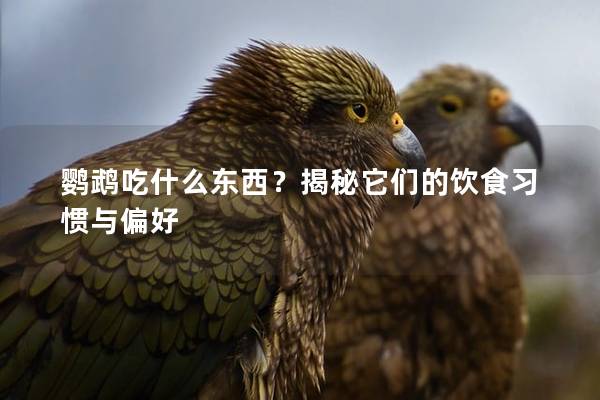 鹦鹉吃什么东西？揭秘它们的饮食习惯与偏好