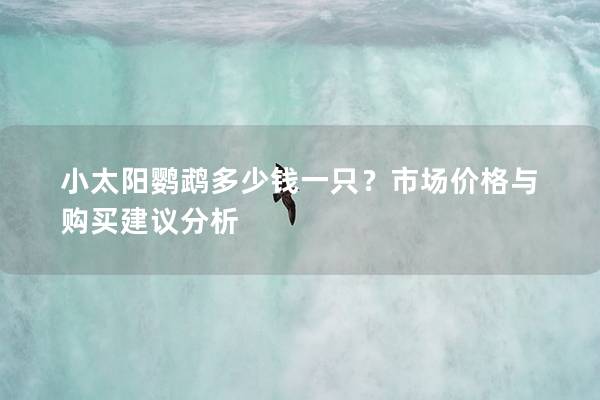 小太阳鹦鹉多少钱一只？市场价格与购买建议分析