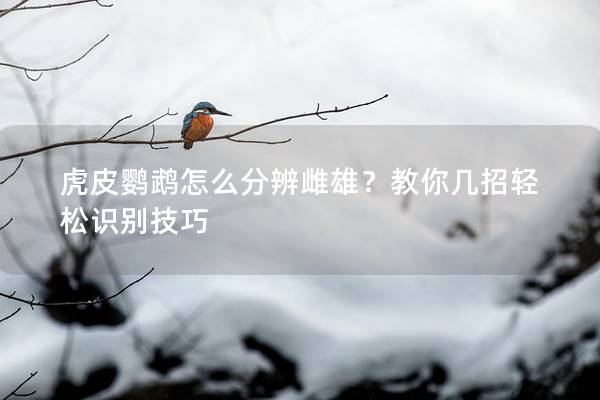虎皮鹦鹉怎么分辨雌雄？教你几招轻松识别技巧
