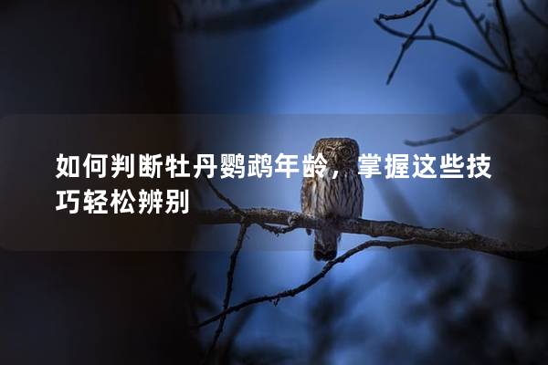 如何判断牡丹鹦鹉年龄，掌握这些技巧轻松辨别
