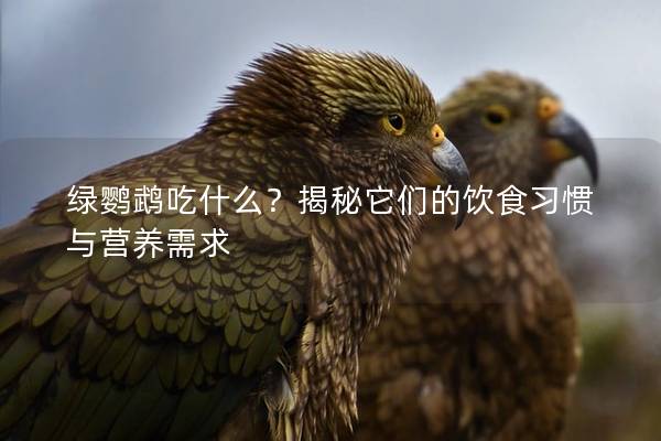 绿鹦鹉吃什么？揭秘它们的饮食习惯与营养需求