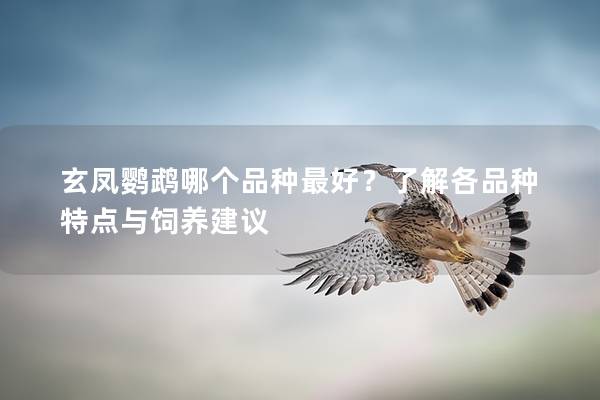 玄凤鹦鹉哪个品种最好？了解各品种特点与饲养建议