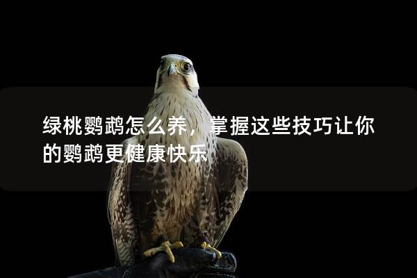 绿桃鹦鹉怎么养，掌握这些技巧让你的鹦鹉更健康快乐