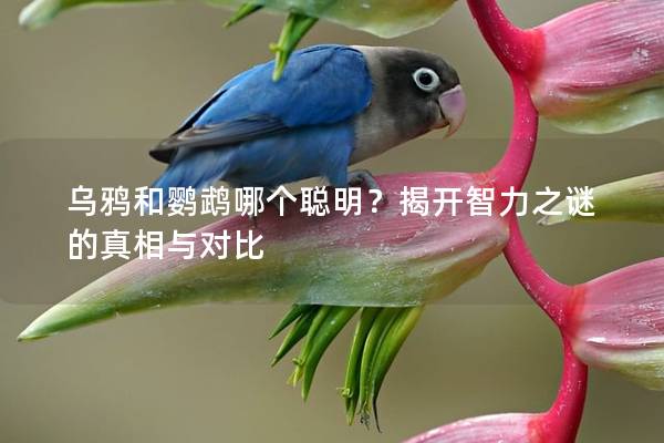乌鸦和鹦鹉哪个聪明？揭开智力之谜的真相与对比