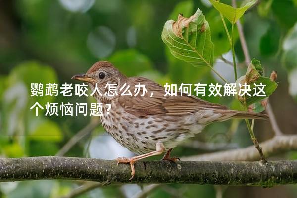 鹦鹉老咬人怎么办，如何有效解决这个烦恼问题？