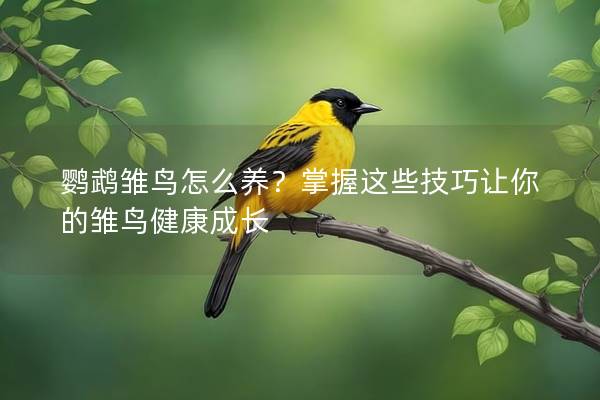 鹦鹉雏鸟怎么养？掌握这些技巧让你的雏鸟健康成长