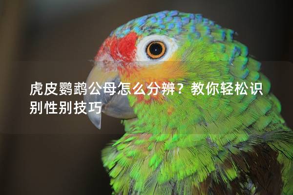 虎皮鹦鹉公母怎么分辨？教你轻松识别性别技巧