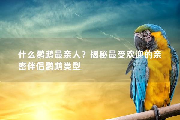 什么鹦鹉最亲人？揭秘最受欢迎的亲密伴侣鹦鹉类型