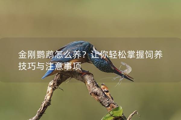 金刚鹦鹉怎么养？让你轻松掌握饲养技巧与注意事项