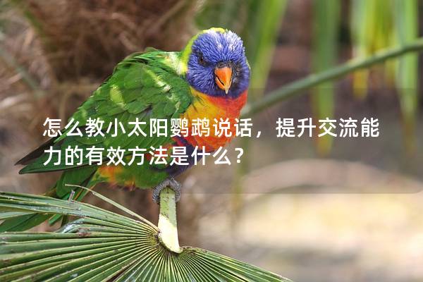 怎么教小太阳鹦鹉说话，提升交流能力的有效方法是什么？