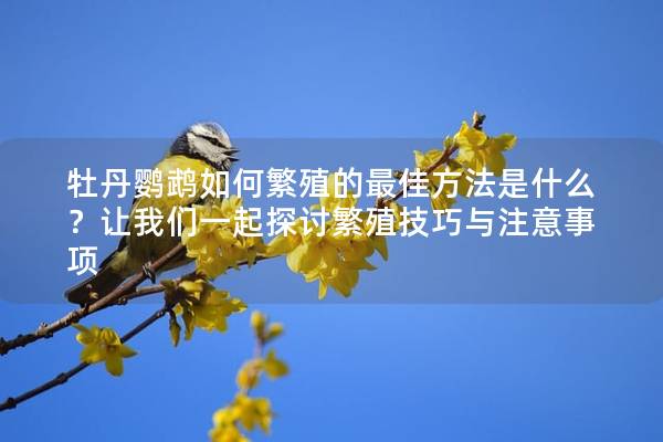 牡丹鹦鹉如何繁殖的最佳方法是什么？让我们一起探讨繁殖技巧与注意事项