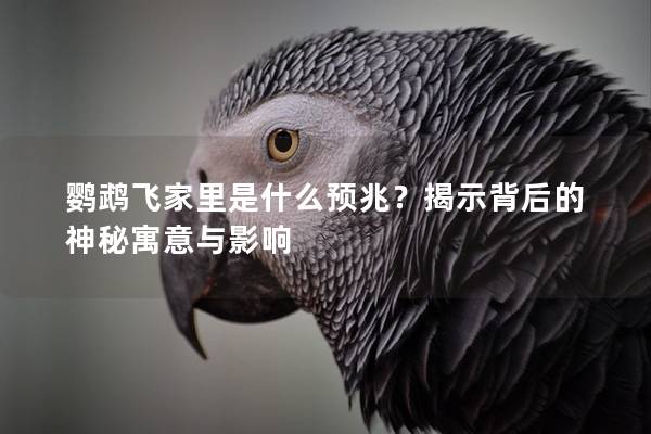 鹦鹉飞家里是什么预兆？揭示背后的神秘寓意与影响