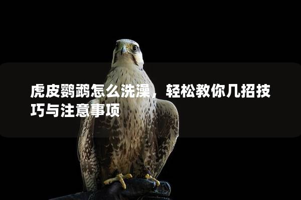 虎皮鹦鹉怎么洗澡，轻松教你几招技巧与注意事项