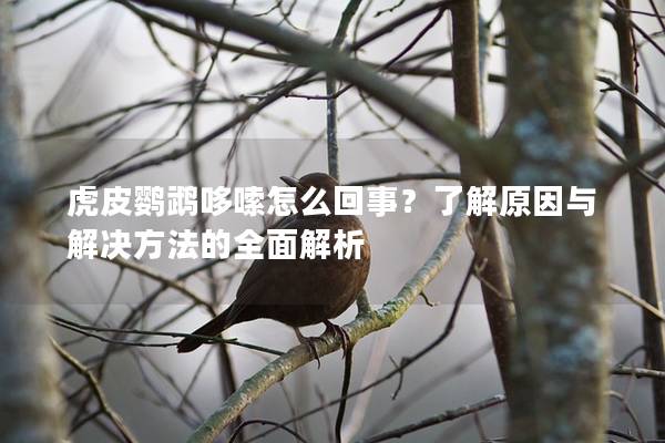 虎皮鹦鹉哆嗦怎么回事？了解原因与解决方法的全面解析
