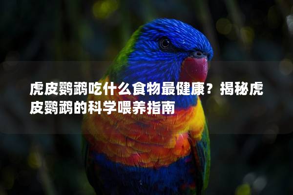 虎皮鹦鹉吃什么食物最健康？揭秘虎皮鹦鹉的科学喂养指南