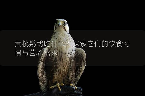 黄桃鹦鹉吃什么？探索它们的饮食习惯与营养需求