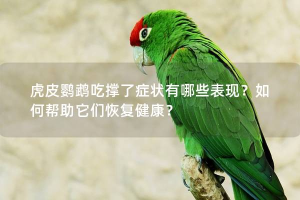 虎皮鹦鹉吃撑了症状有哪些表现？如何帮助它们恢复健康？